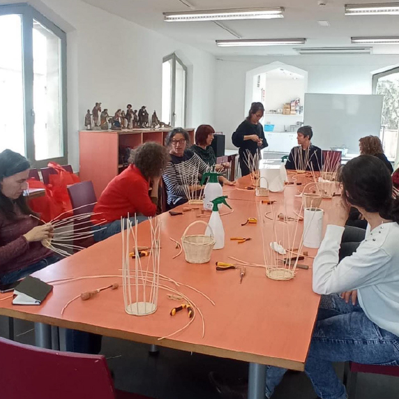 tallers per grups